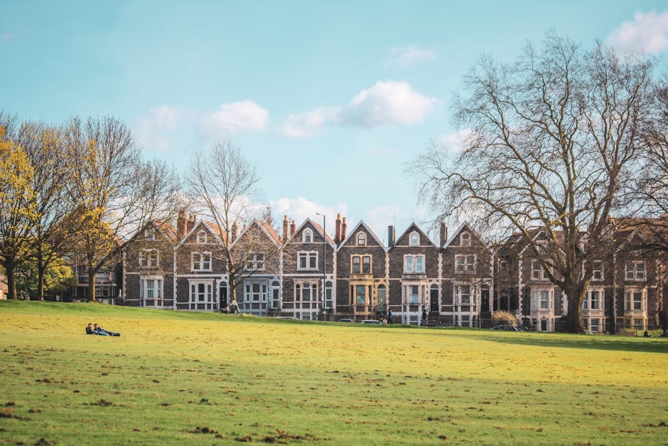 A row of Victorian terraced houses with brick facades and white window frames, situated behind a large grassy park area with tall, leafless trees and a partly cloudy sky overhead. In the foreground, a person is lying on the grass near a blue object, while other individuals are walking or standing nearby near the houses. The scene depicts a peaceful residential area, commonly associated with home relocation and transportation activities, which may involve secure packing, loading furniture, and moving logistics managed by professional services such as Man with Van Golders Green.