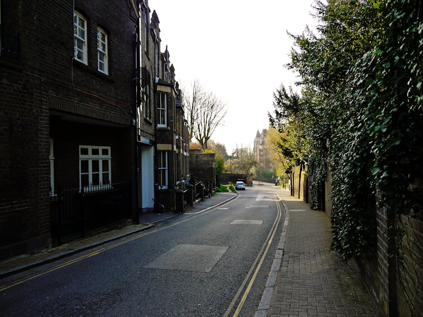 A narrow outdoor alleyway with uneven dirt and stone ground, flanked by brick and wooden fences on either side. In the foreground, a small white and black cat sits on the ground near a person wearing dark clothing who is bent over, seemingly preparing for a move. Behind them, a black moving bag or blanket lies on the ground. Further back, there are plastic chairs and potted plants, with gardening tools and supplies partially visible against the fences. The scene appears to be part of a home relocation process in a residential area of Golders Green, as part of the services provided by Man with Van Golders Green, showing the logistical challenges of moving furniture and belongings through tight alleyways.